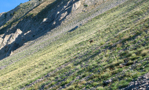 Tête de Garnesier et des Ormans départ de Chabottes dans le Dévoluy le 05082024, DSC_0076