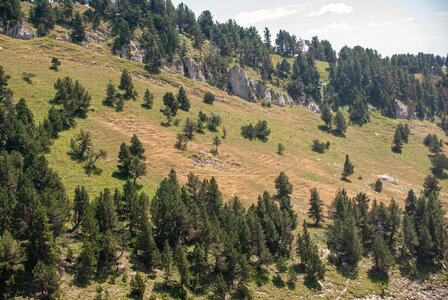 Tête de Garnesier et des Ormans départ de Chabottes dans le Dévoluy le 05082024, DSC_0157