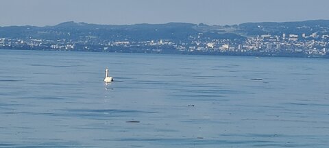 PLAGE 28 JUIN 2024, 20240624_182635