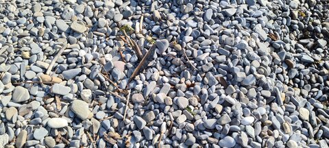PLAGE 28 JUIN 2024, 20240624_185549_001