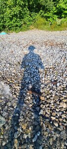 PLAGE 28 JUIN 2024, 20240624_190606