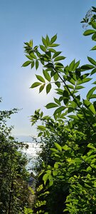 PLAGE 28 JUIN 2024, 20240624_191633
