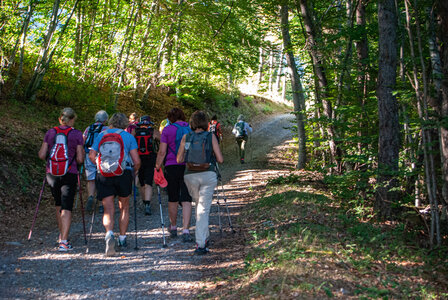 St Etienne du Laus - Boucle du Grand Bois le 13 août 2024, DSC_0015