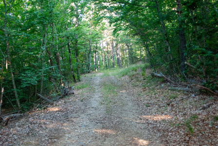 St Etienne du Laus - Boucle du Grand Bois le 13 août 2024, DSC_0019