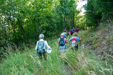 St Etienne du Laus - Boucle du Grand Bois le 13 août 2024, DSC_0027