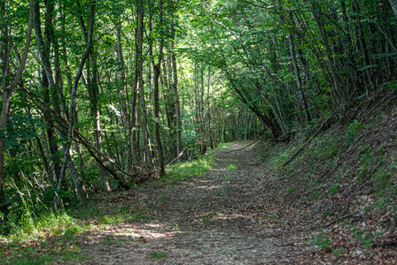 St Etienne du Laus - Boucle du Grand Bois le 13 août 2024, DSC_0030