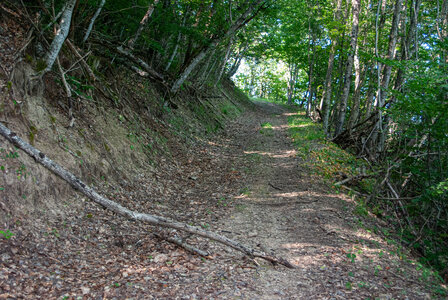 St Etienne du Laus - Boucle du Grand Bois le 13 août 2024, DSC_0032