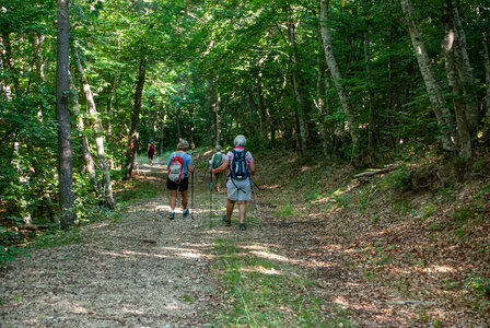St Etienne du Laus - Boucle du Grand Bois le 13 août 2024, DSC_0035