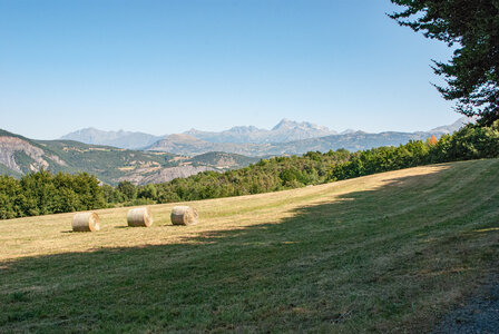 St Etienne du Laus - Boucle du Grand Bois le 13 août 2024, DSC_0036