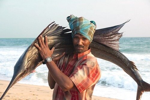 Pécheur indien pourtant un gros poisson à l'épaule