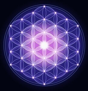 Avatar, ResizedImage_2024-08-17_01-08-37_8686