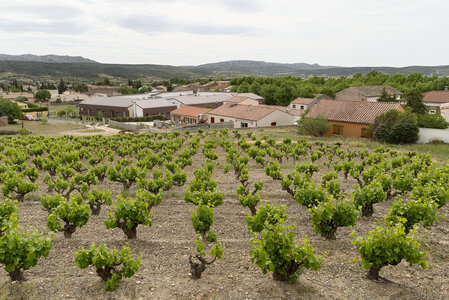 @fmbdx@piaille.fr 2023, Tuchan, Aude