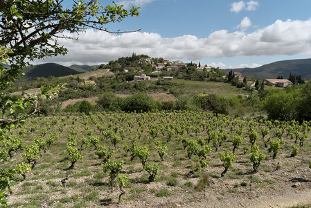 @fmbdx@piaille.fr 2023, Montgaillard, Aude