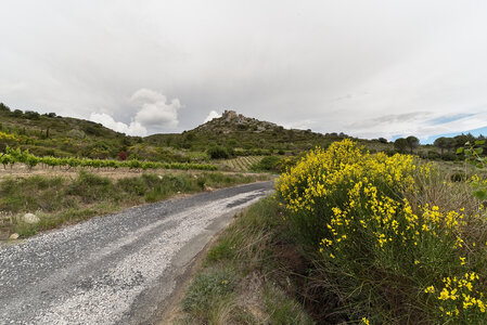 @fmbdx@piaille.fr 2023, Tuchan, Aude