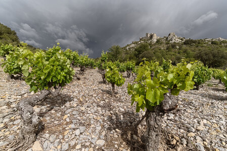 @fmbdx@piaille.fr 2023, Chateau d'Aguilar, Aude