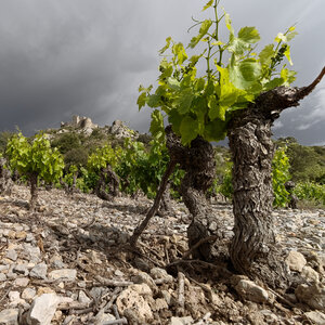 @fmbdx@piaille.fr 2023, Chateau d'Aguilar, Aude