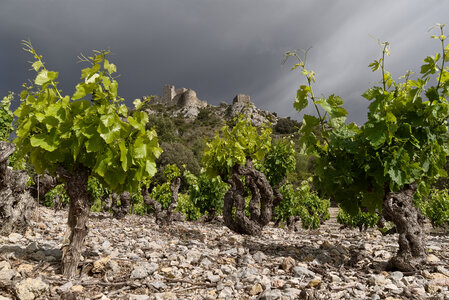 @fmbdx@piaille.fr 2023, Chateau d'Aguilar, Aude