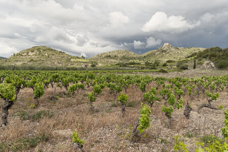 @fmbdx@piaille.fr 2023, Tuchan, Aude
