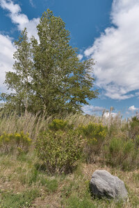 @fmbdx@piaille.fr 2023, Padern, Aude