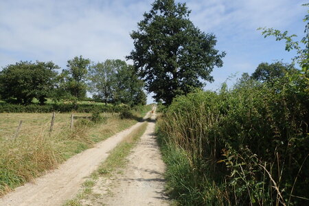 Rando Auvergne 2024, 2024-07-23_0058