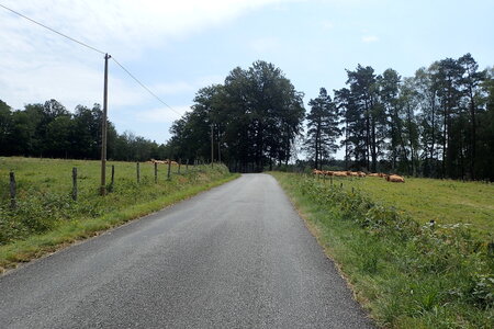 Rando Auvergne 2024, 2024-07-27_0133