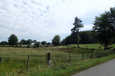 Rando Auvergne 2024, 2024-07-27_0134