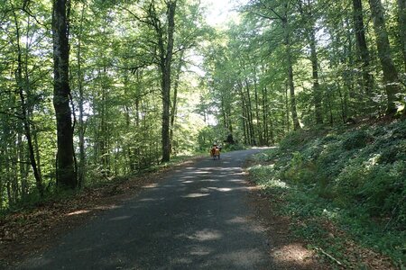 Rando Auvergne 2024, 2024-07-28_0155