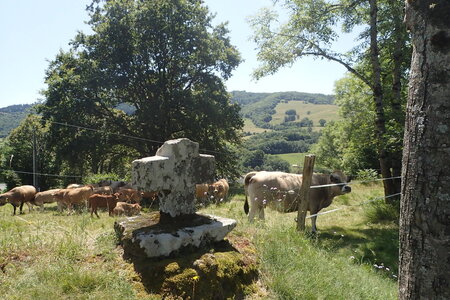 Rando Auvergne 2024, 2024-07-29_0200