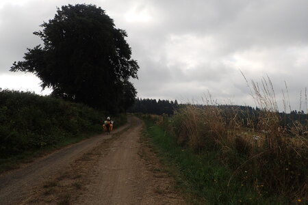 Rando Auvergne 2024, 2024-08-01_0232