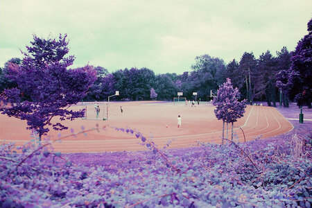 2024-08-16_lomography_purple, 2024-08-16_lomographie_purple_032_HQ
