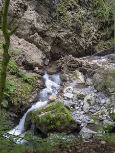 GR5_2307-2308, 0723_1095983