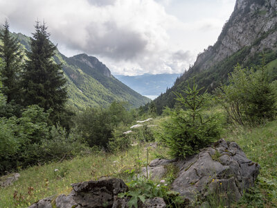 GR5_2307-2308, 0724_1095987