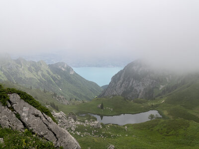 GR5_2307-2308, 0724_1096001