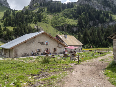 GR5_2307-2308, 0724_1096008