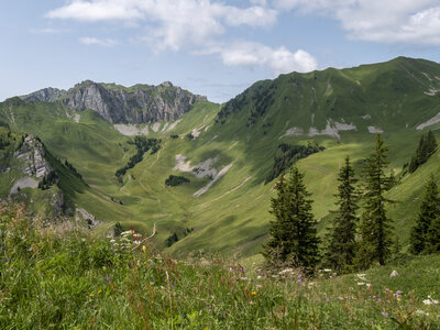 GR5_2307-2308, 0724_1096010