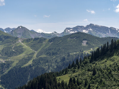 GR5_2307-2308, 0725_1096022