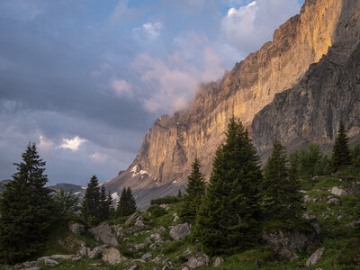GR5_2307-2308, 0728_1096057