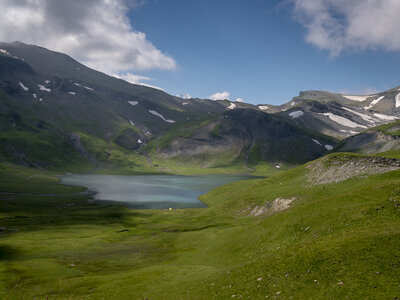 GR5_2307-2308, 0728_1096058