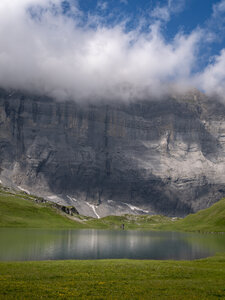GR5_2307-2308, 0728_1096061