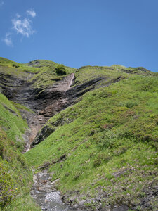 GR5_2307-2308, 0728_1096076