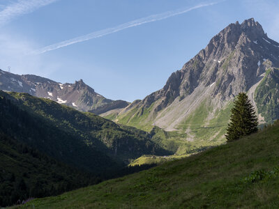 GR5_2307-2308, 0730_1096108