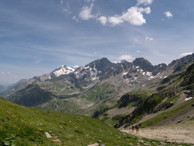 GR5_2307-2308, 0730_1096110