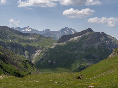 GR5_2307-2308, 0730_1096113
