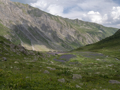 GR5_2307-2308, 0731_1096133