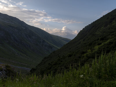 GR5_2307-2308, 0801_1096137