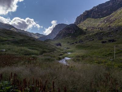 GR5_2307-2308, 0803_1096186