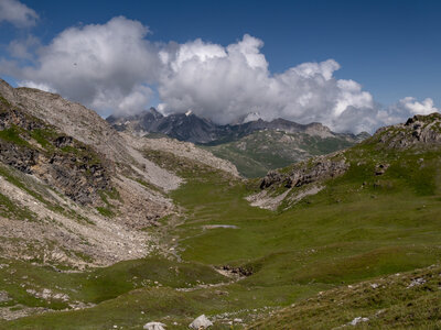 GR5_2307-2308, 0803_1096190