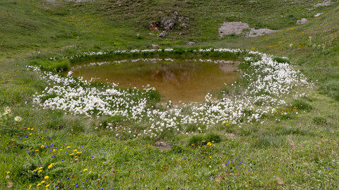 GR5_2307-2308, 0807_1096271