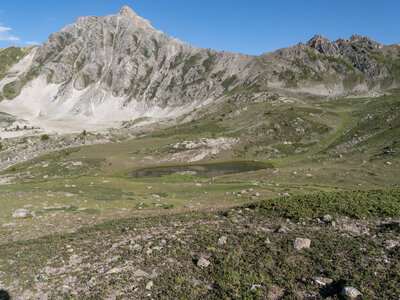GR5_2307-2308, 0808_1096294