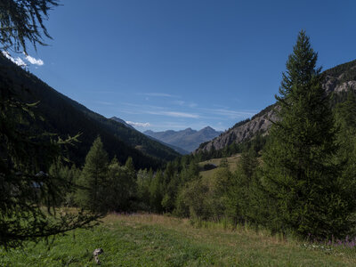 GR5_2307-2308, 0809_1096305